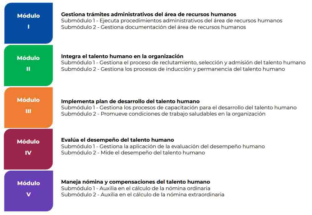 programacion